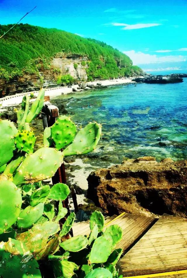 面朝大海春暖花开涠洲岛之旅,海景圣地涠洲岛