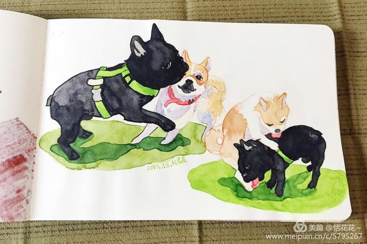 灏忕嫍ins椋庣畝鍗曞張濂界湅缁樼敾,钀屽疇鐙楃嫍缁樼敾浣滃搧