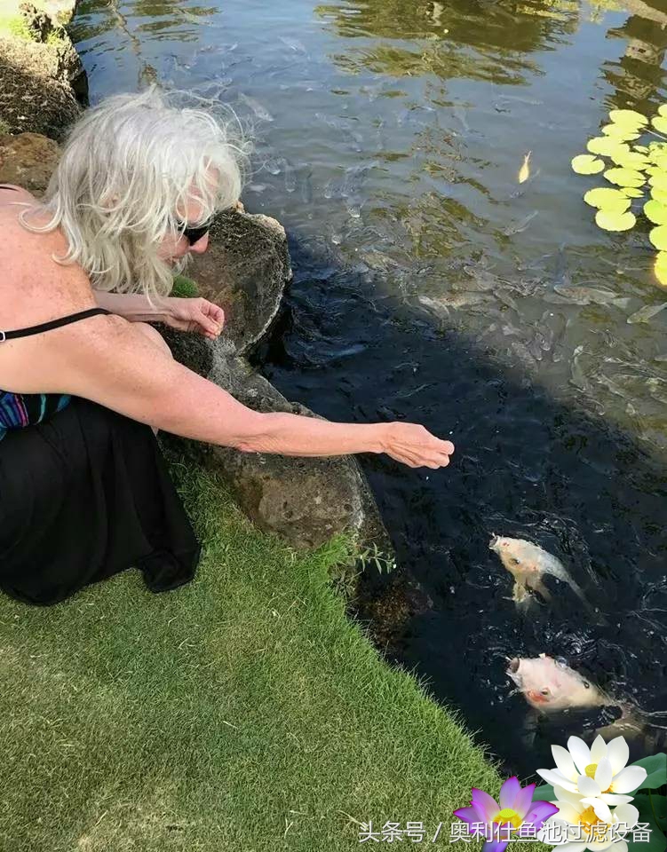 不会撩妹的锦鲤，不是一条好锦鲤！