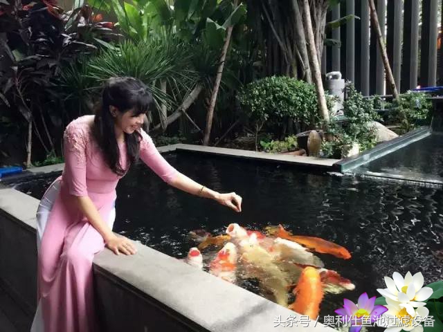 不会撩妹的锦鲤，不是一条好锦鲤！