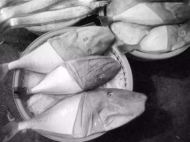 您知道哪些常见的海鱼,一啸海钓