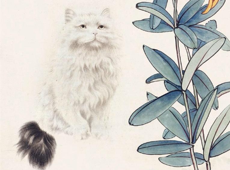 闅鹃亾鍦熺尗灏辫琚珜寮冨悧,鍦熺尗鐪熺殑寰堝彲鐖卞悧