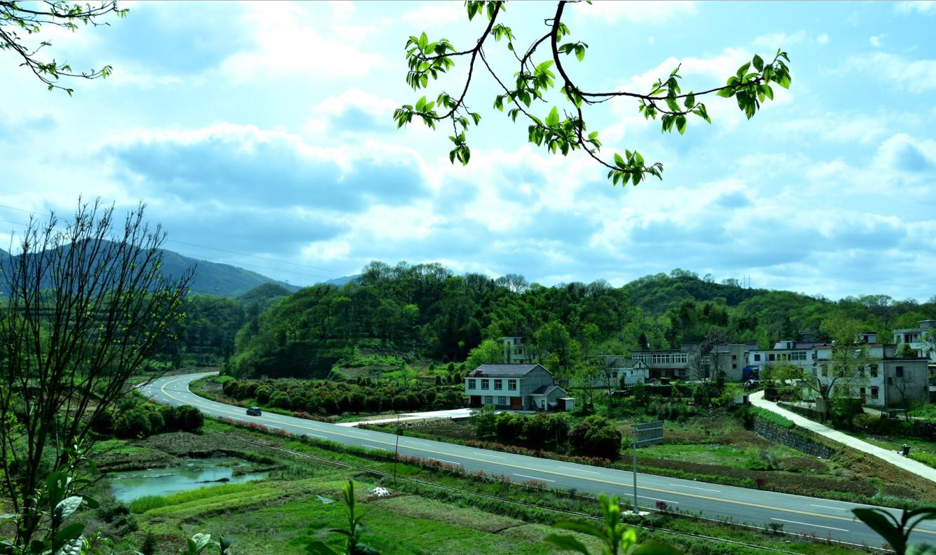 舒城古镇风景视频,舒城兰花谷古镇