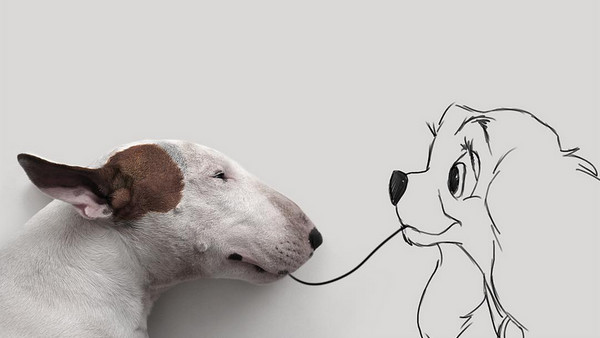 离婚后只剩爱犬陪伴，巴西男用插画证明牛头㹴的可爱