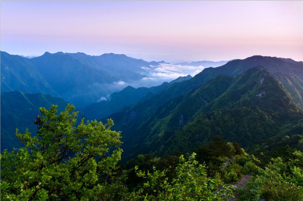 舒城古镇风景视频,舒城兰花谷古镇