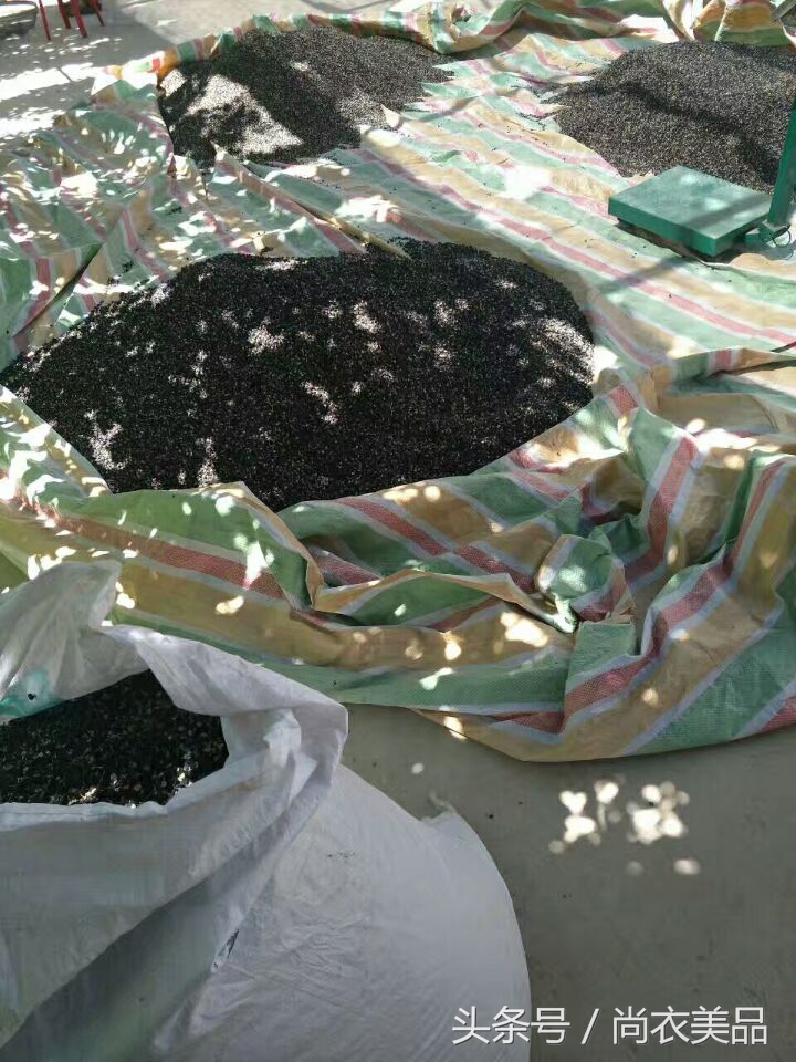 新疆最好的黑枸杞多少钱一斤,新疆黑枸杞的介绍