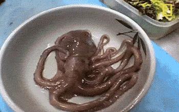 这么多的海鲜你敢吃哪个,这样的海鲜看完你还敢吃吗