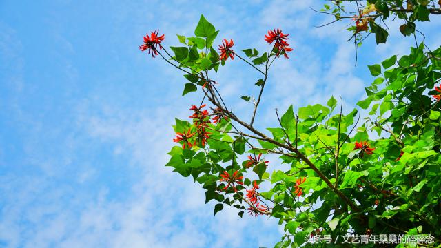 此地与我有缘-再见闽南