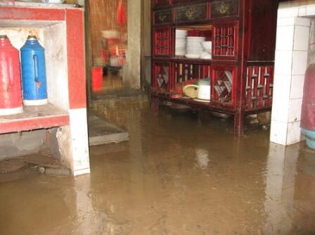 本命年梦到野猪什么预兆,本命年梦到和老婆吵架