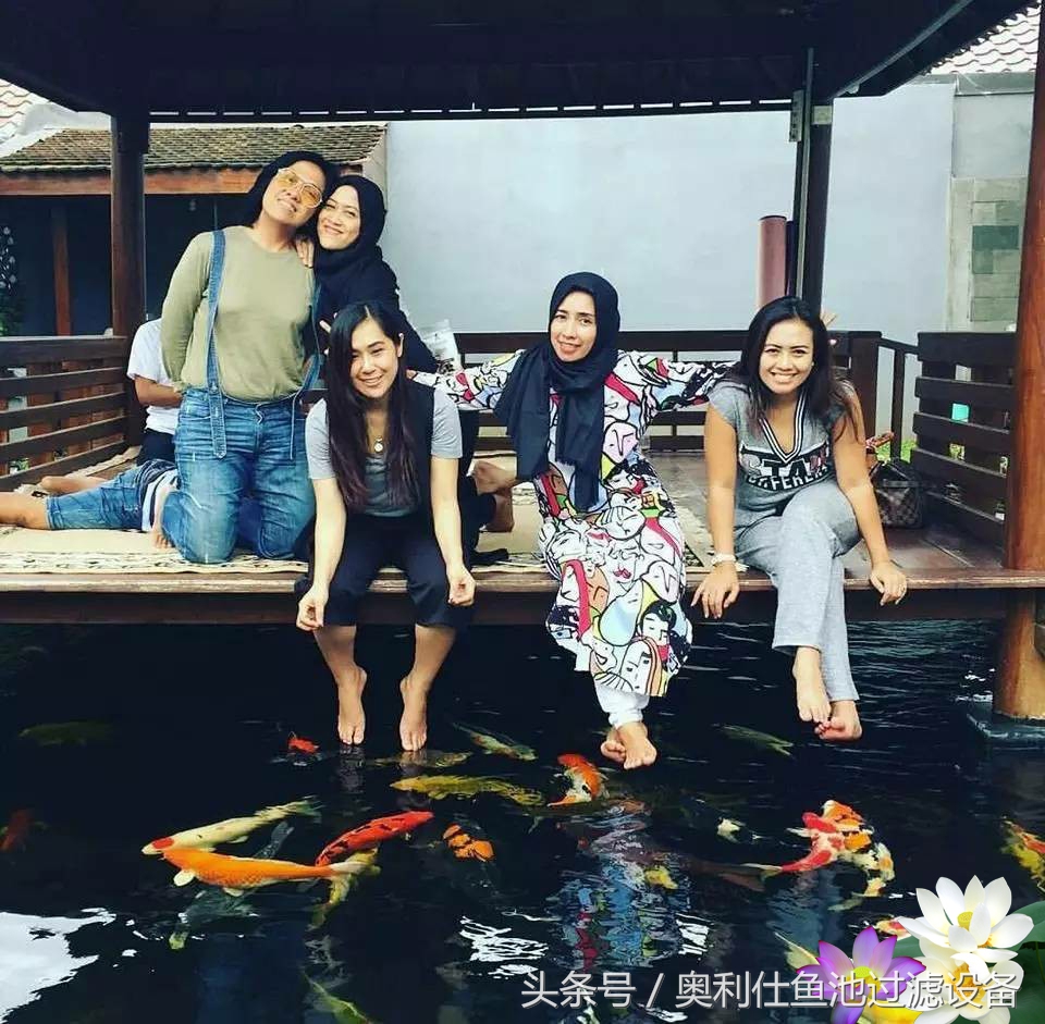 不会撩妹的锦鲤，不是一条好锦鲤！