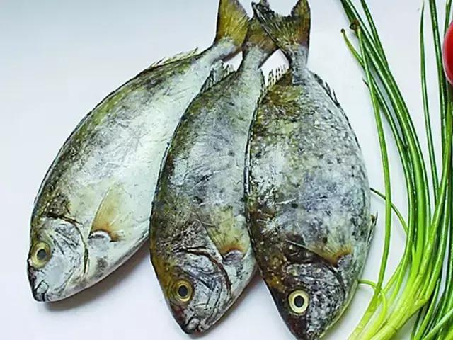 您知道哪些常见的海鱼,一啸海钓