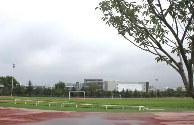 樱花湖赏樱花的最佳位置,樱花湖上