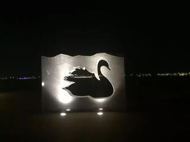 樱花湖赏樱花的最佳位置,樱花湖上