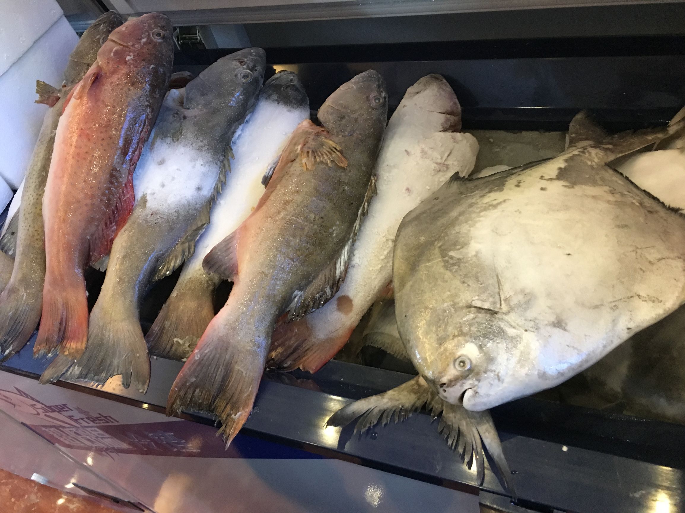 佛山：-60℃超低温海鲜食材“游”进市区了！