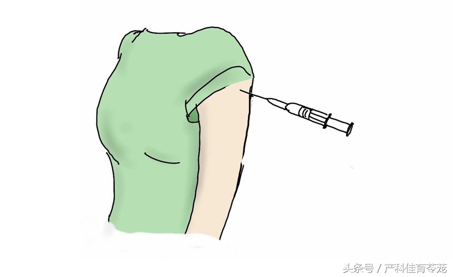 怀孕以后还能养狗吗,怀孕以后还能养狗呗