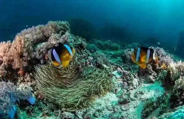 面朝大海春暖花开涠洲岛之旅,海景圣地涠洲岛
