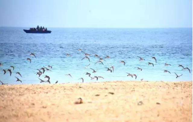 面朝大海春暖花开涠洲岛之旅,海景圣地涠洲岛