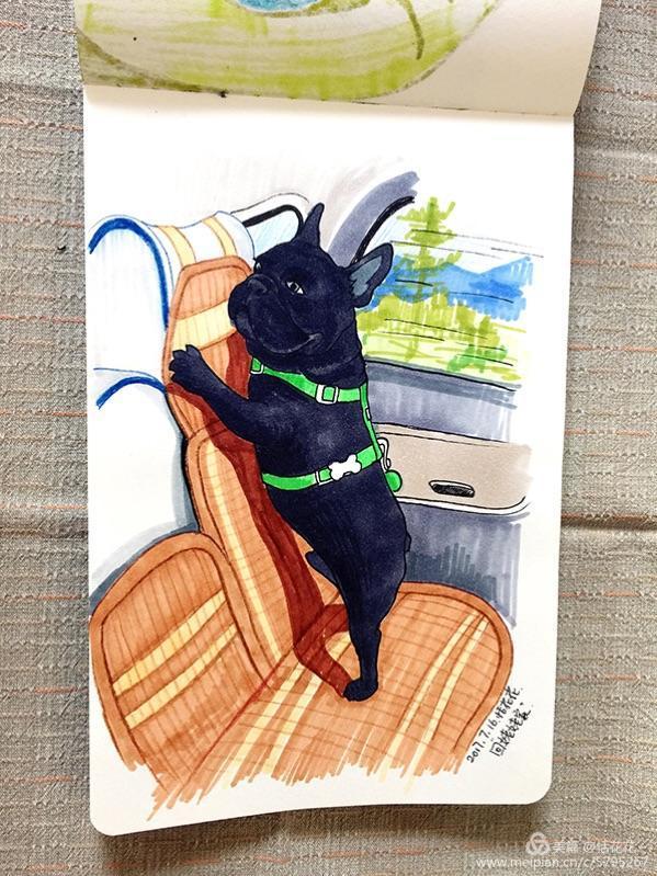 灏忕嫍ins椋庣畝鍗曞張濂界湅缁樼敾,钀屽疇鐙楃嫍缁樼敾浣滃搧