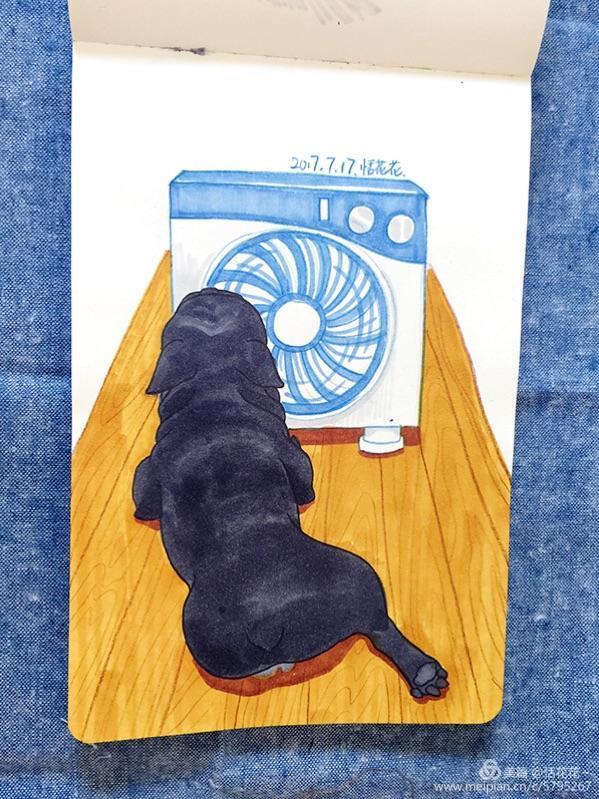 灏忕嫍ins椋庣畝鍗曞張濂界湅缁樼敾,钀屽疇鐙楃嫍缁樼敾浣滃搧