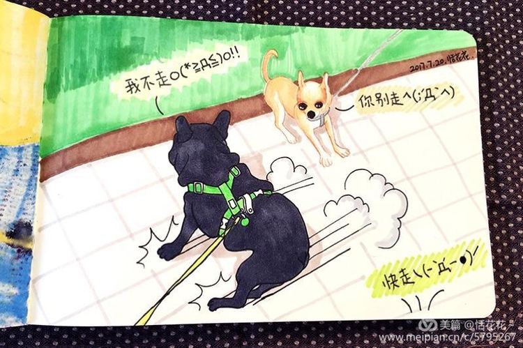 灏忕嫍ins椋庣畝鍗曞張濂界湅缁樼敾,钀屽疇鐙楃嫍缁樼敾浣滃搧