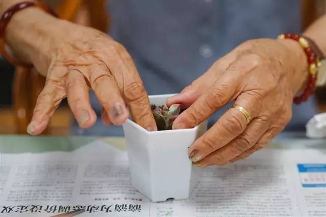 摆摊卖肉如何才能卖得快,摆地摊卖什么肉热销