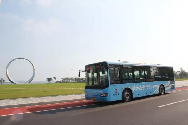 樱花湖赏樱花的最佳位置,樱花湖上