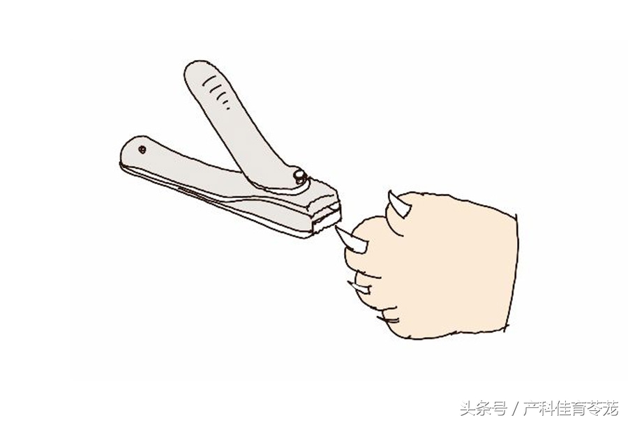 怀孕以后还能养狗吗,怀孕以后还能养狗呗