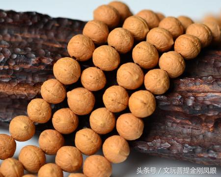 凤眼菩提三眼菩提,正圆老凤眼菩提