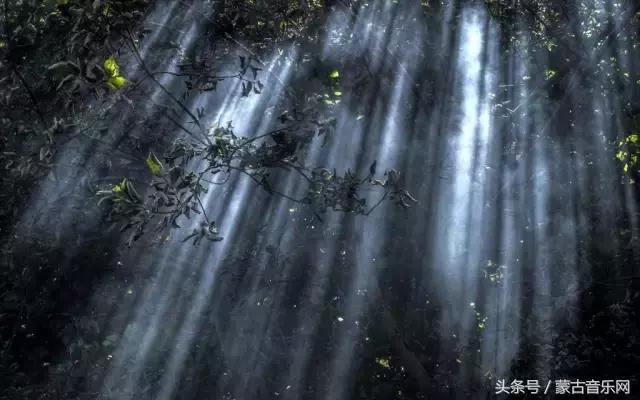 正能量的歌单,正能量歌单推荐