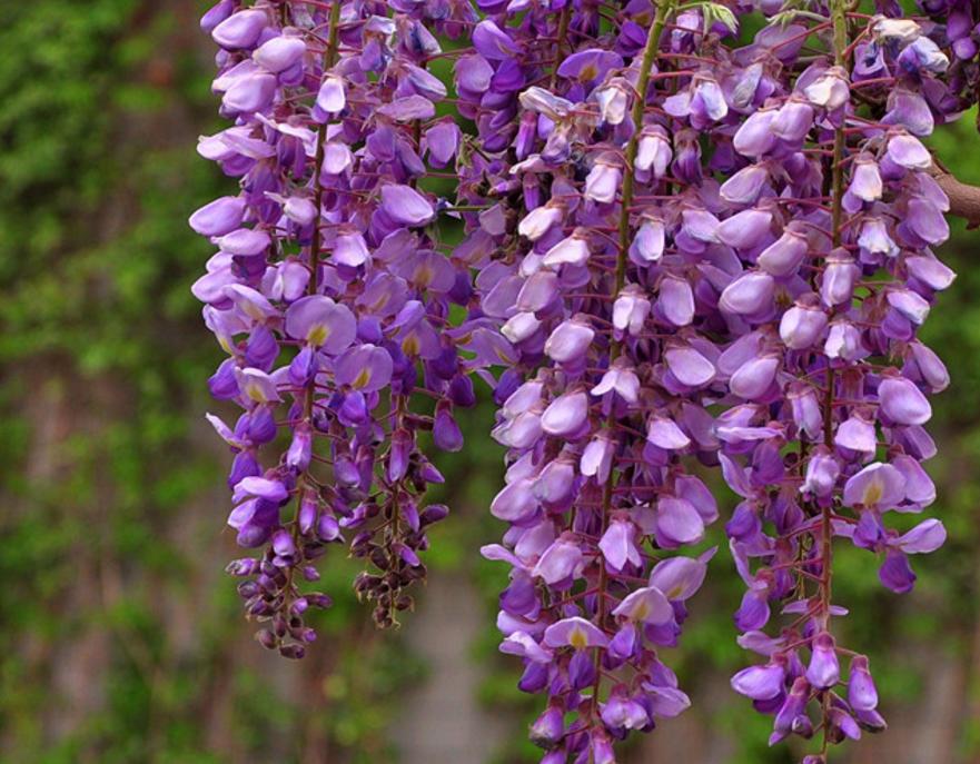 有一种岁月带给你的忧伤，因为你懂，所以，你泪流满面