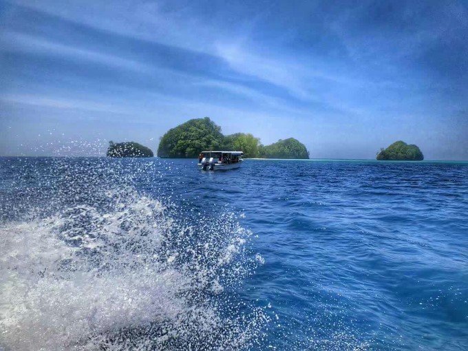 看鲨鱼，玩泥巴，看男人穿婚纱，带你看不一样的帕劳