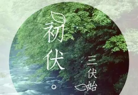 三伏天的正确养生方法,三伏天养生6大禁忌你记住了吗