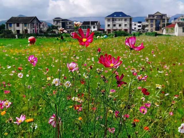 行走山水之间远离城市喧嚣,行走在浙江温州风景