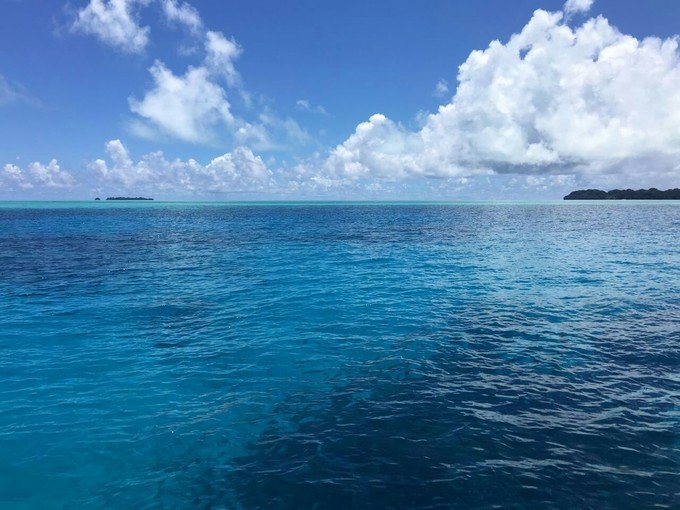 看鲨鱼，玩泥巴，看男人穿婚纱，带你看不一样的帕劳