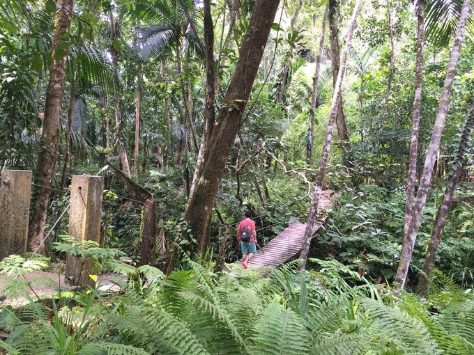 看鲨鱼，玩泥巴，看男人穿婚纱，带你看不一样的帕劳