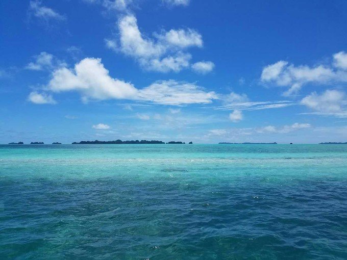 看鲨鱼，玩泥巴，看男人穿婚纱，带你看不一样的帕劳