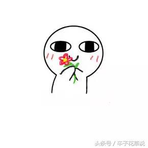 食物相克是真是假,食物相克是真的还是假的