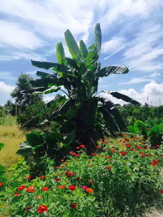 行走山水之间远离城市喧嚣,行走在浙江温州风景