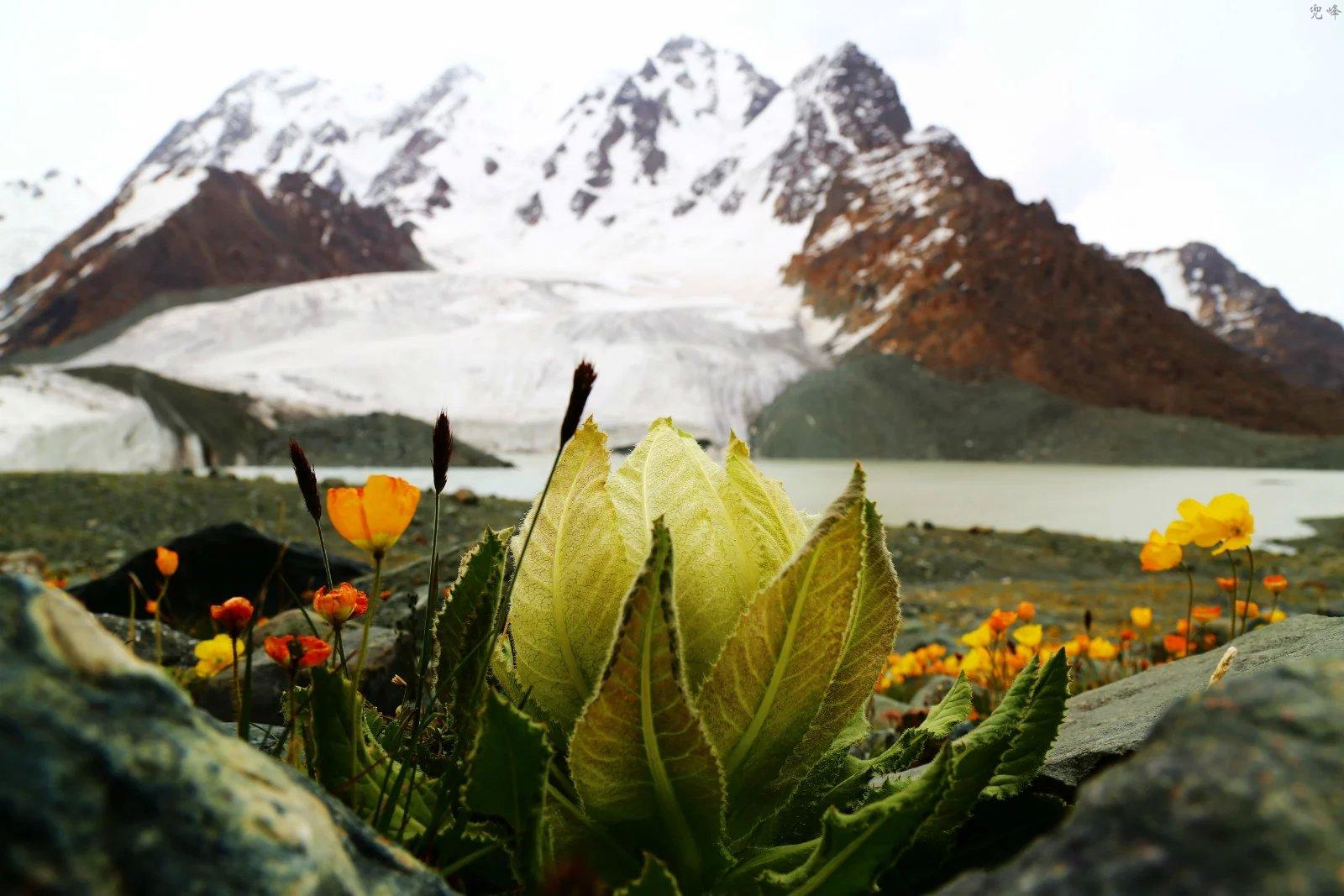 博格达爬大峰可以吗,博格达峰翻越天山