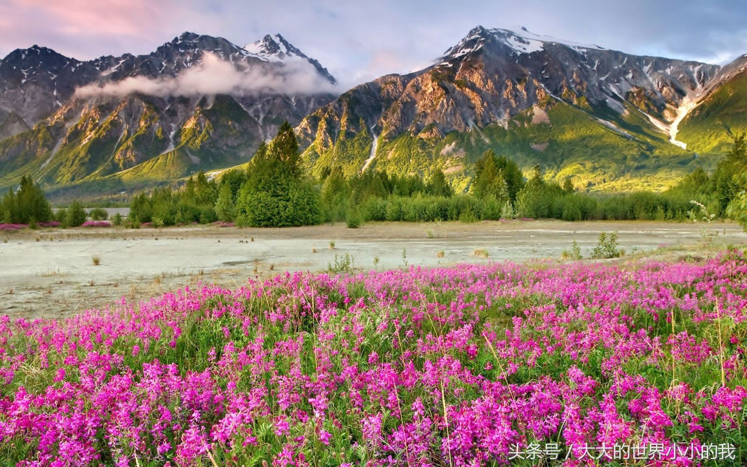 熬夜整顿北京旅游攻略,熬夜整顿旅游攻略
