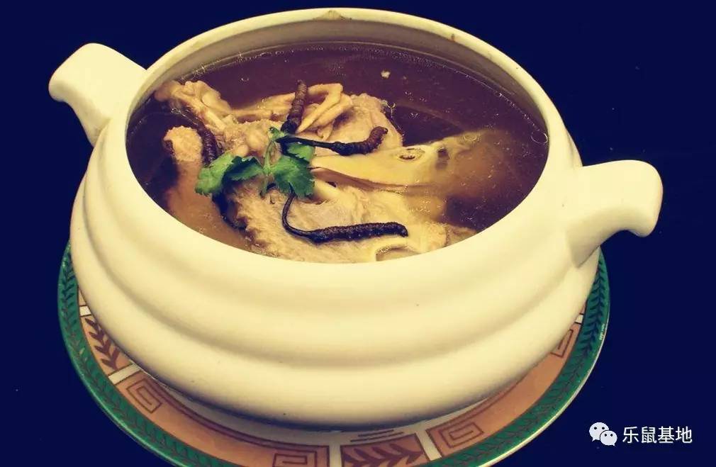 砂锅炖的菜为什么好吃,砂锅做什么菜好吃