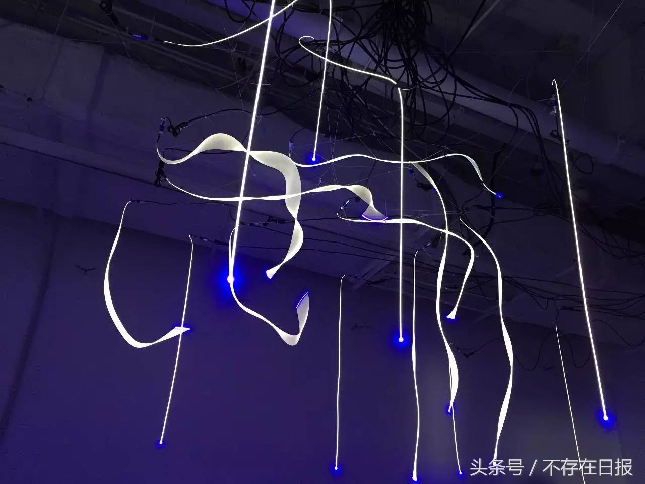 Hello，你壳中的灵魂，是什么格式？