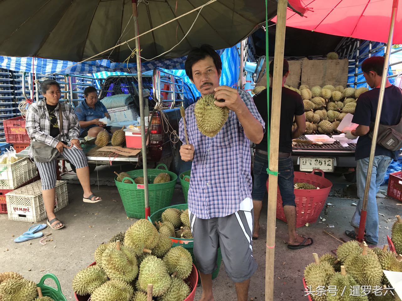 贵的泰国榴莲,泰国的榴莲最便宜多少钱一斤