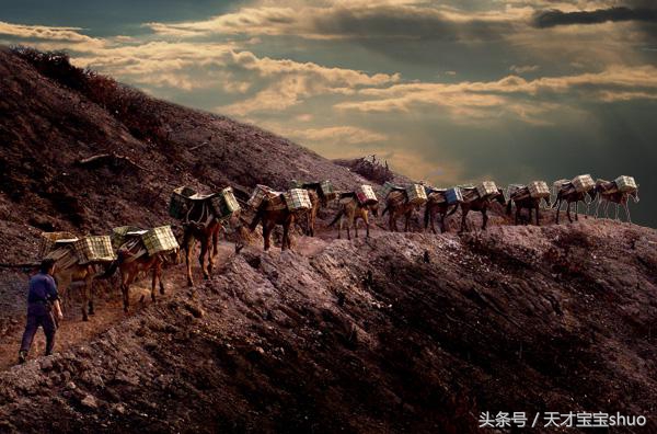 普洱茶的传说大全,关于普洱茶的美丽传说