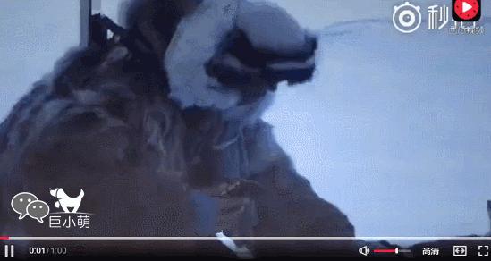 战狼2最后导弹发射彩蛋,战狼2片尾彩蛋的猜想