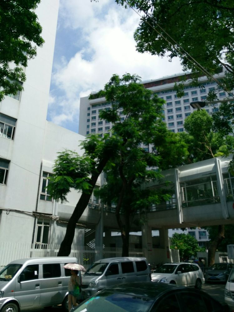 汕头的历史鮀城,汕头经济特区今昔对比图