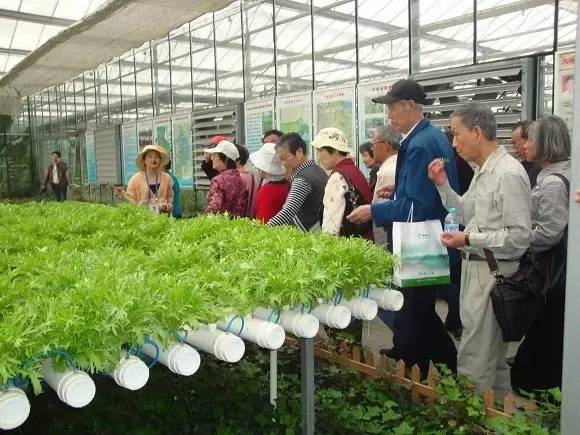 摆摊卖肉如何才能卖得快,摆地摊卖什么肉热销