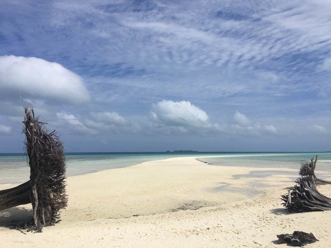看鲨鱼，玩泥巴，看男人穿婚纱，带你看不一样的帕劳