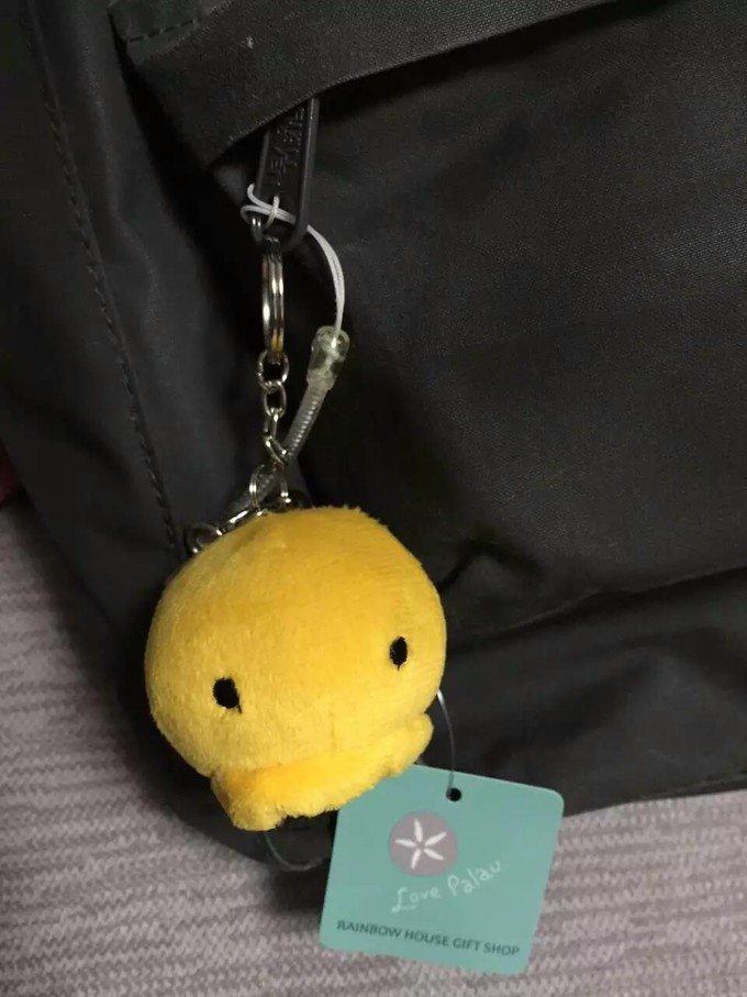 看鲨鱼，玩泥巴，看男人穿婚纱，带你看不一样的帕劳