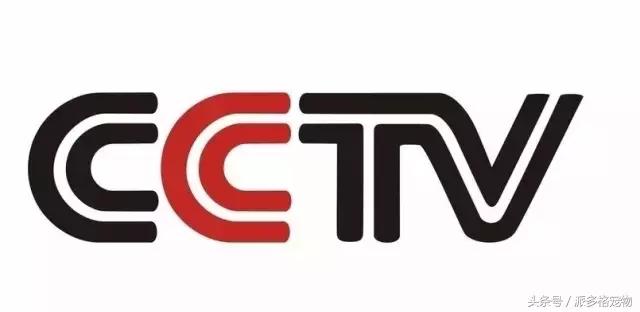 cctv采访万涛,cctv专访
